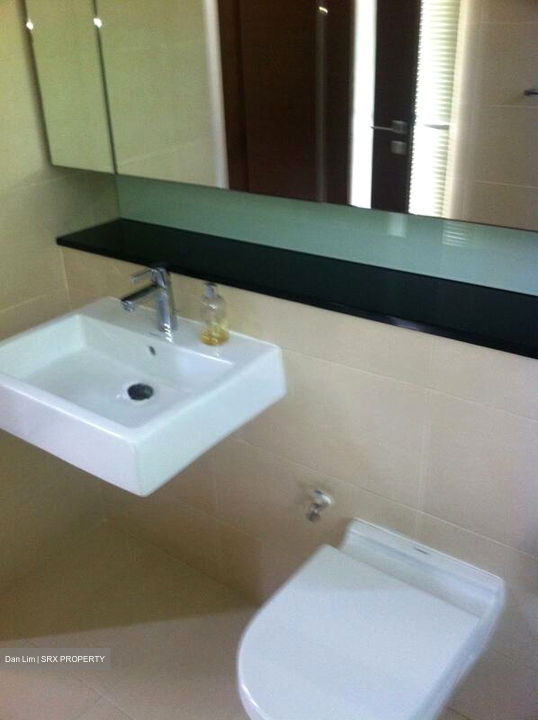 Braddell Heights Estate (D13), Detached #503599071